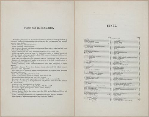 E400 - Practical Poultry Book - 1871 - 17202-17203