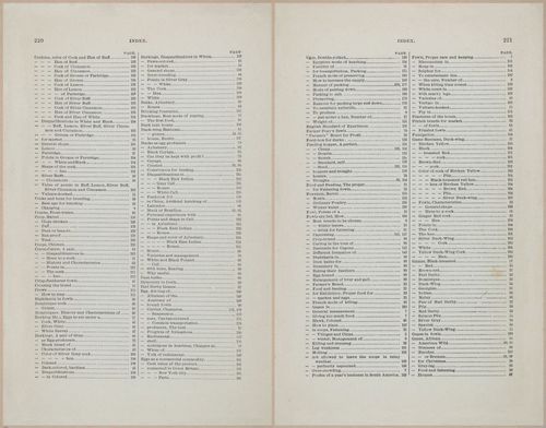 E400 - Practical Poultry Book - 1871 - 17204-17205