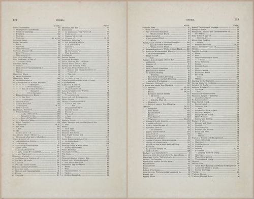 E400 - Practical Poultry Book - 1871 - 17206-17207