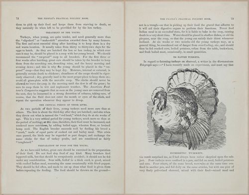E400 - Practical Poultry Book - 1871 - 17058-17059