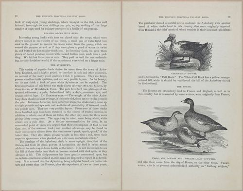 E400 - Practical Poultry Book - 1871 - 17068-17069