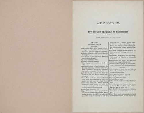 E400 - Practical Poultry Book - 1871 - 17176