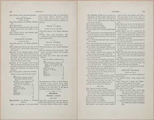 E400 - Practical Poultry Book - 1871 - 17179-17180
