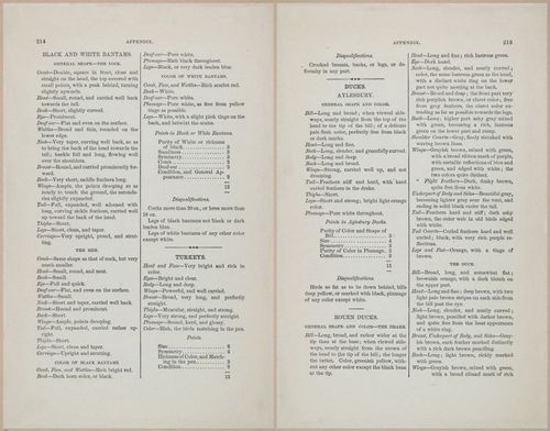 E400 - Practical Poultry Book - 1871 - 17199-17200