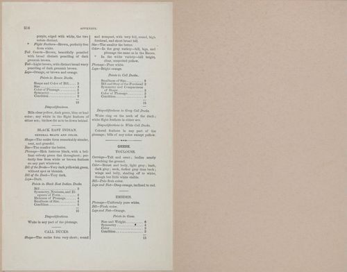 E400 - Practical Poultry Book - 1871 - 17201