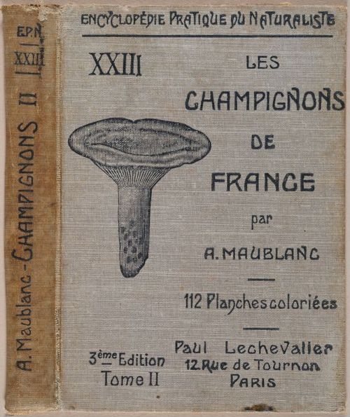 E409 - Les Champignons - i19761