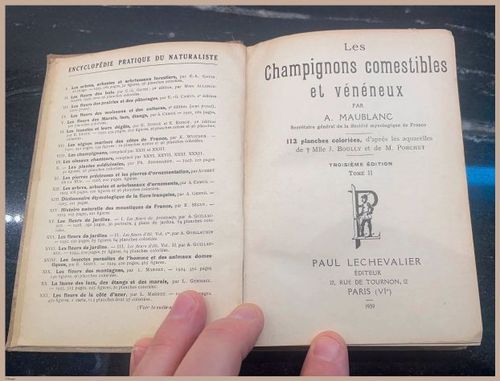 E409 - Les Champignons - i7080