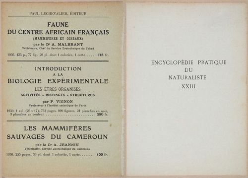 E409 - Les Champignons - i19310-19311