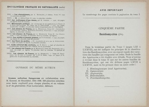 E409 - Les Champignons - i19314-19315