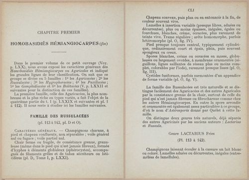 E409 - Les Champignons - i19316-19317