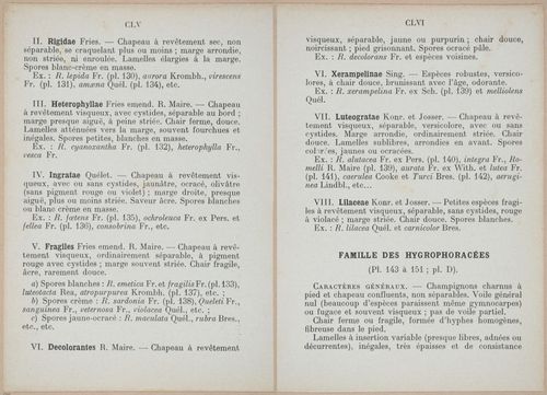 E409 - Les Champignons - i19322-19323