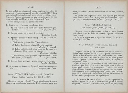E409 - Les Champignons - i19330-19331