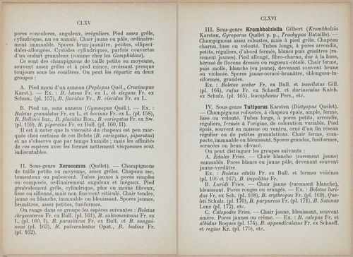 E409 - Les Champignons - i19332-19333