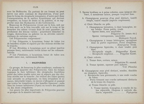 E409 - Les Champignons - i19336-19337