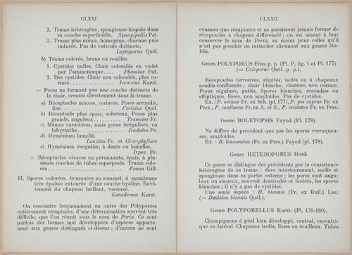 E409 - Les Champignons - i19338-19339