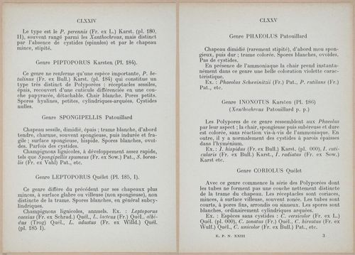 E409 - Les Champignons - i19342-19343