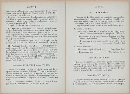 E409 - Les Champignons - i19346-19347