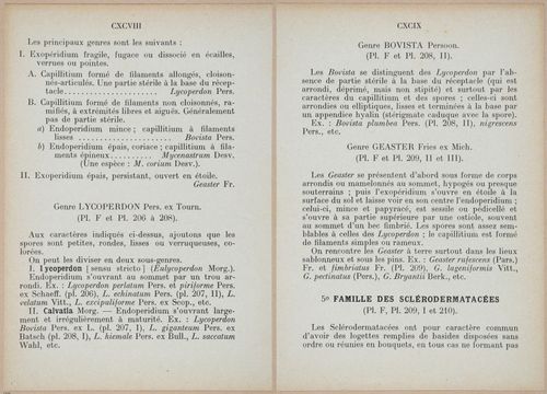 E409 - Les Champignons - i19366-19367