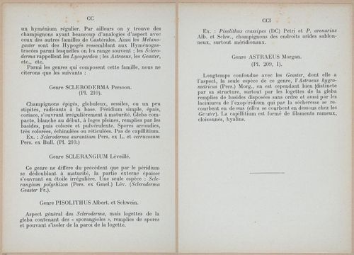E409 - Les Champignons - i19368-19369