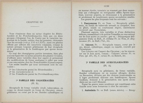 E409 - Les Champignons - i19370-19371