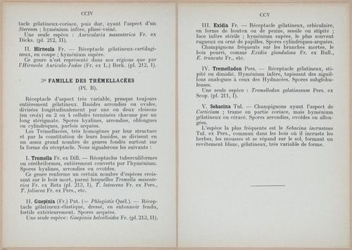 E409 - Les Champignons - i19372-19373