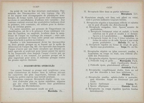 E409 - Les Champignons - i19382-19383