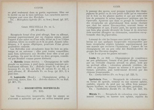 E409 - Les Champignons - i19386-19387