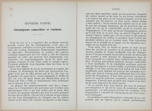 E409 - Les Champignons - i19392-19393