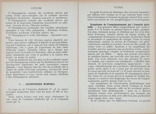 E409 - Les Champignons - i19396-19397