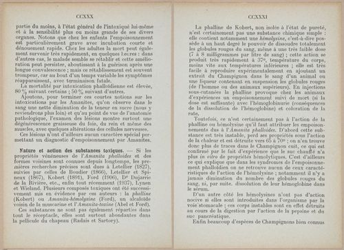 E409 - Les Champignons - i19398-19399