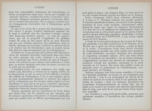 E409 - Les Champignons - i19400-19401