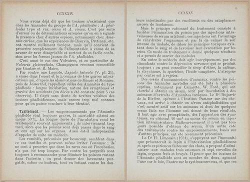 E409 - Les Champignons - i19402-19403