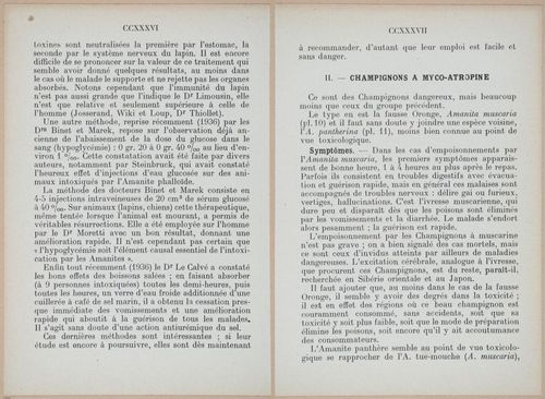 E409 - Les Champignons - i19404-19405