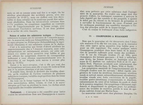 E409 - Les Champignons - i19406-19407