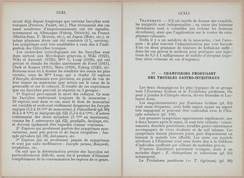 E409 - Les Champignons - i19408-19409