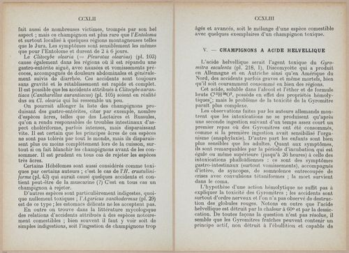 E409 - Les Champignons - i19410-19411