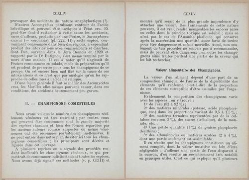 E409 - Les Champignons - i19412-19413
