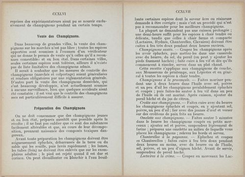 E409 - Les Champignons - i19414-19415