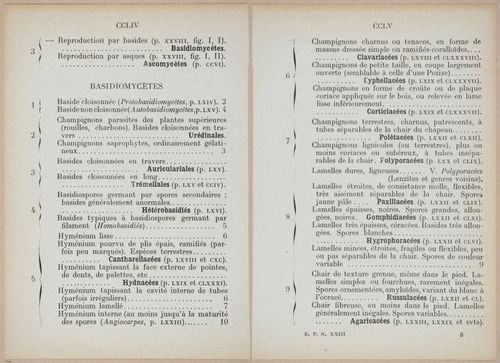 E409 - Les Champignons - i19422-19423
