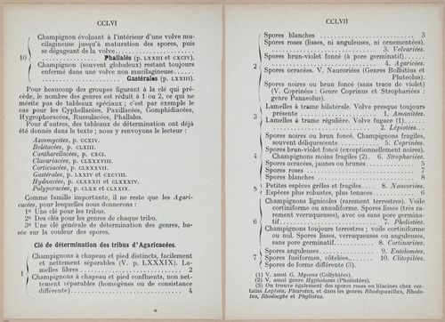 E409 - Les Champignons - i19424-19425