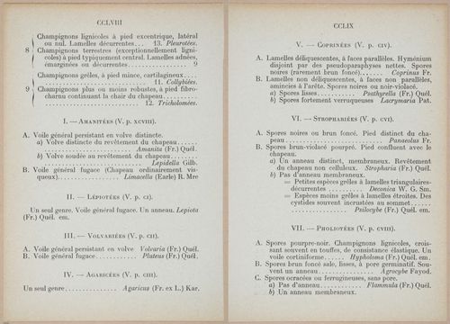 E409 - Les Champignons - i19426-19427