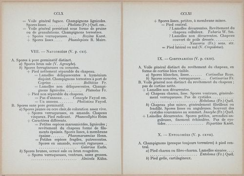 E409 - Les Champignons - i19428-19429