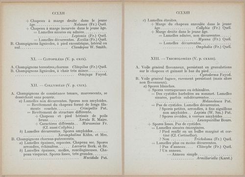 E409 - Les Champignons - i19430-19431