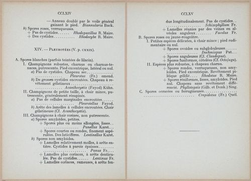 E409 - Les Champignons - i19432-19433