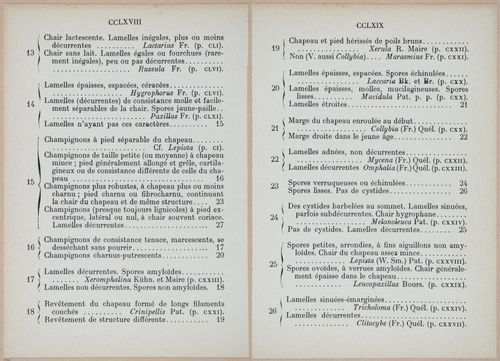 E409 - Les Champignons - i19436-19437