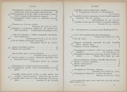E409 - Les Champignons - i19438-19439