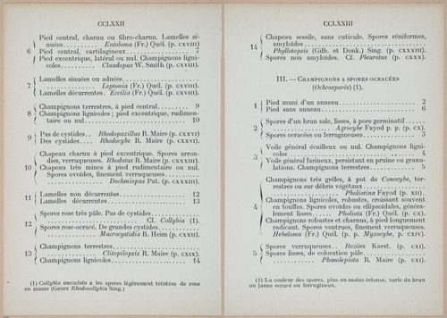 E409 - Les Champignons - i19440-19441