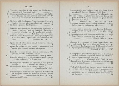 E409 - Les Champignons - i19442-19443