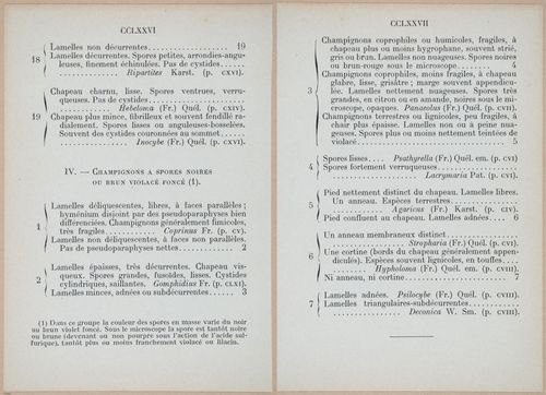 E409 - Les Champignons - i19444-19445