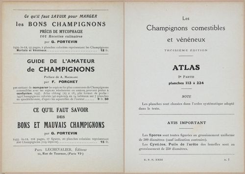 E409 - Les Champignons - i19446-19447